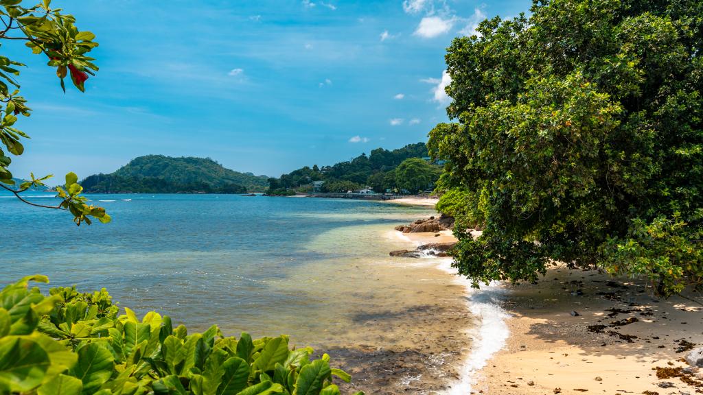 Photo 129: Villas de Jardin - Mahé (Seychelles)
