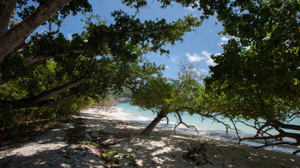 Foto 65: Tranquility Villas - Praslin (Seychelles)