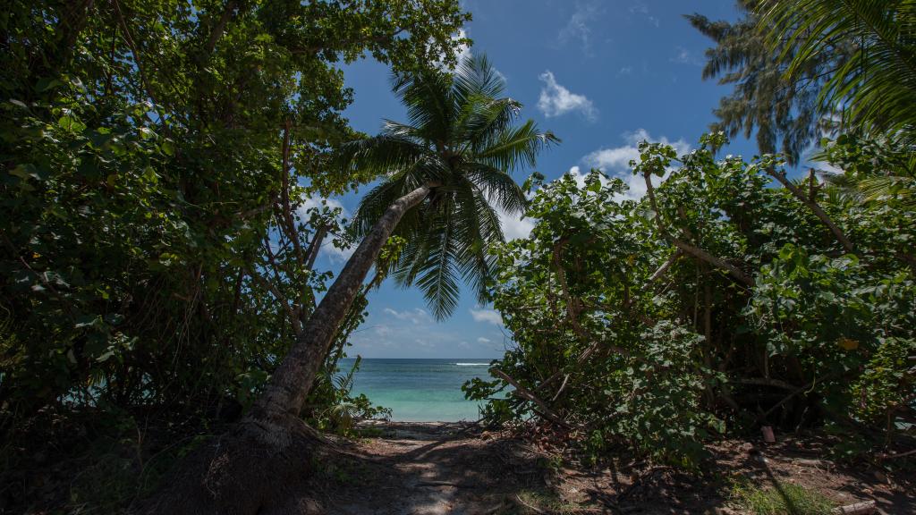 Foto 64: Tranquility Villas - Praslin (Seychelles)