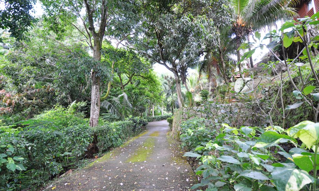 Le Jardin des Palmes