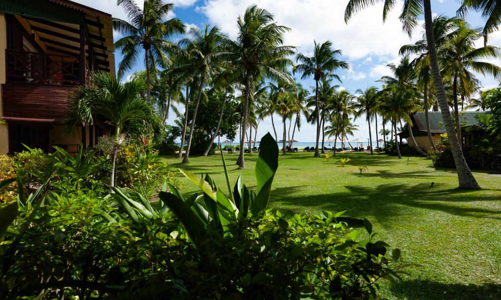 Paradise Sun Hotel - Superior Room