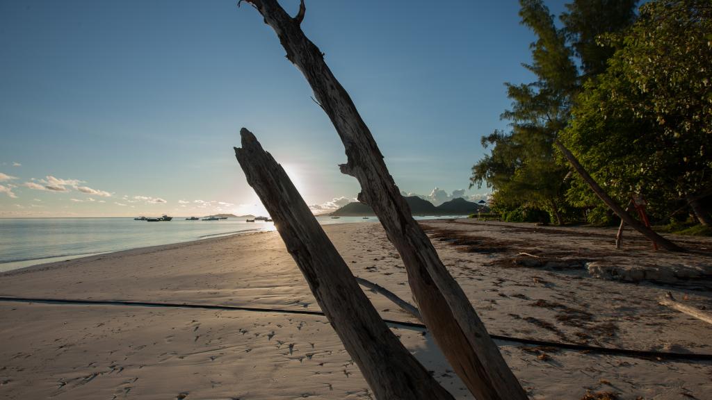 Photo 94: Paradise Sun Hotel - Praslin (Seychelles)