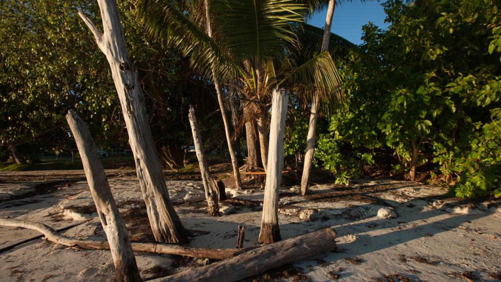 Foto 93: Paradise Sun Hotel - Praslin (Seychelles)