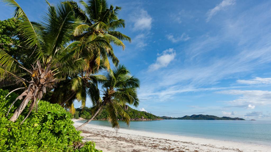 Photo 97: Paradise Sun Hotel - Praslin (Seychelles)