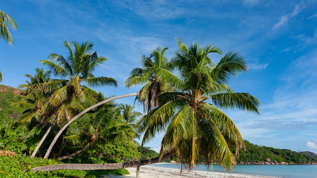 Photo 94: Paradise Sun Hotel - Praslin (Seychelles)