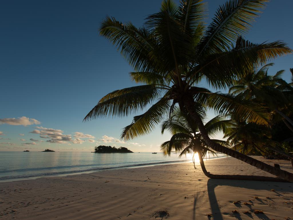 Paradise Sun Hotel - Foto 7