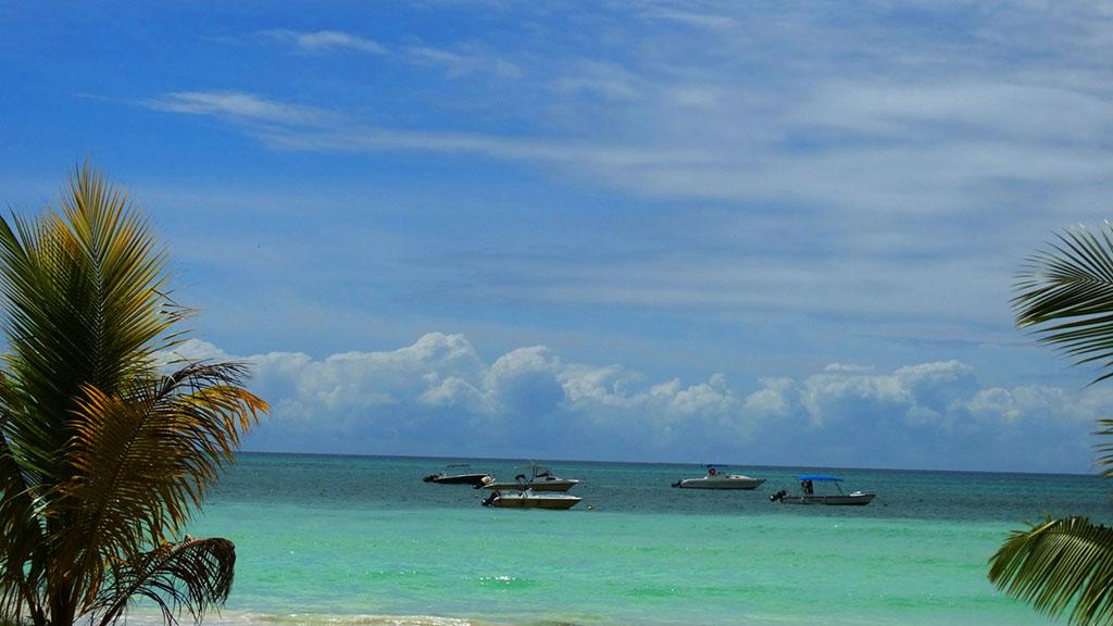 Photo 28: Pirogue Lodge - Praslin (Seychelles)