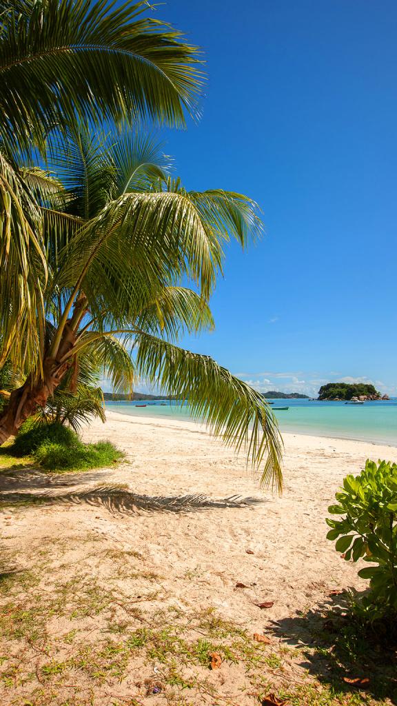 Photo 26: Pirogue Lodge - Praslin (Seychelles)