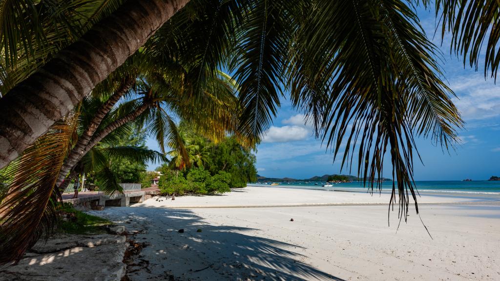 Foto 109: Praslin Paradise - Praslin (Seychelles)