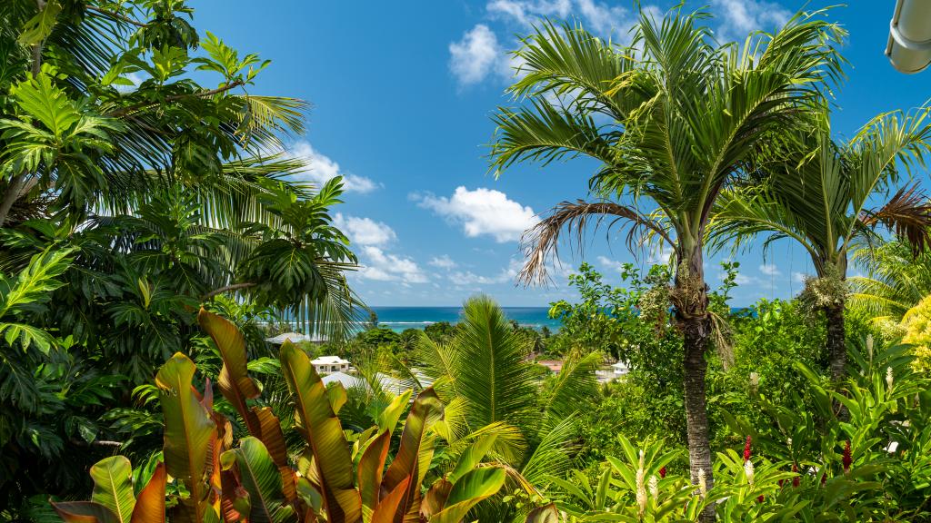 Photo 107: Au Cap Self-Catering - Mahé (Seychelles)