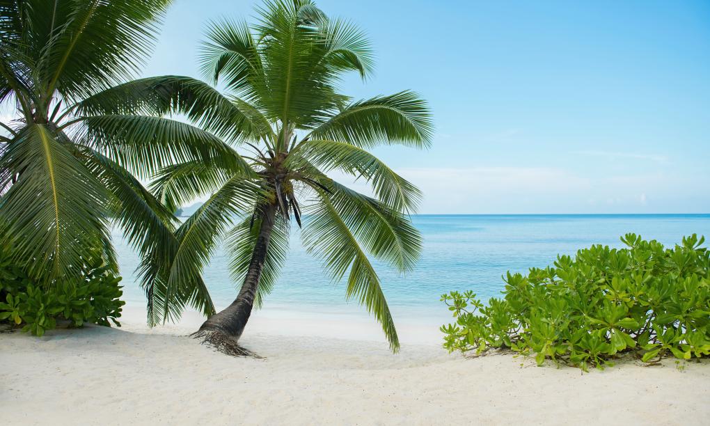 Avani+ Barbarons Seychelles