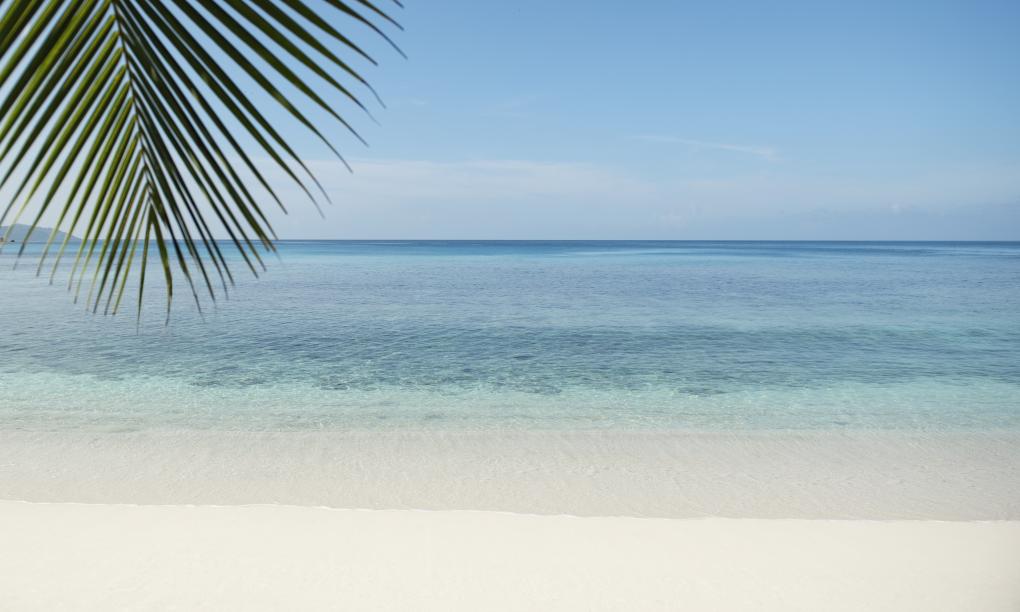 Avani+ Barbarons Seychelles