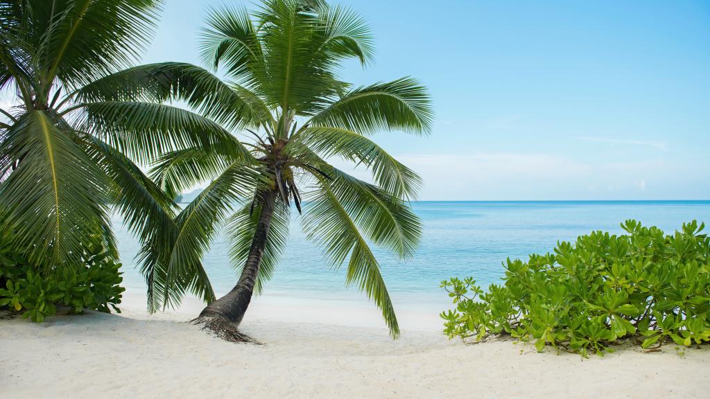 Photo 40: Avani+ Barbarons Seychelles - Mahé (Seychelles)