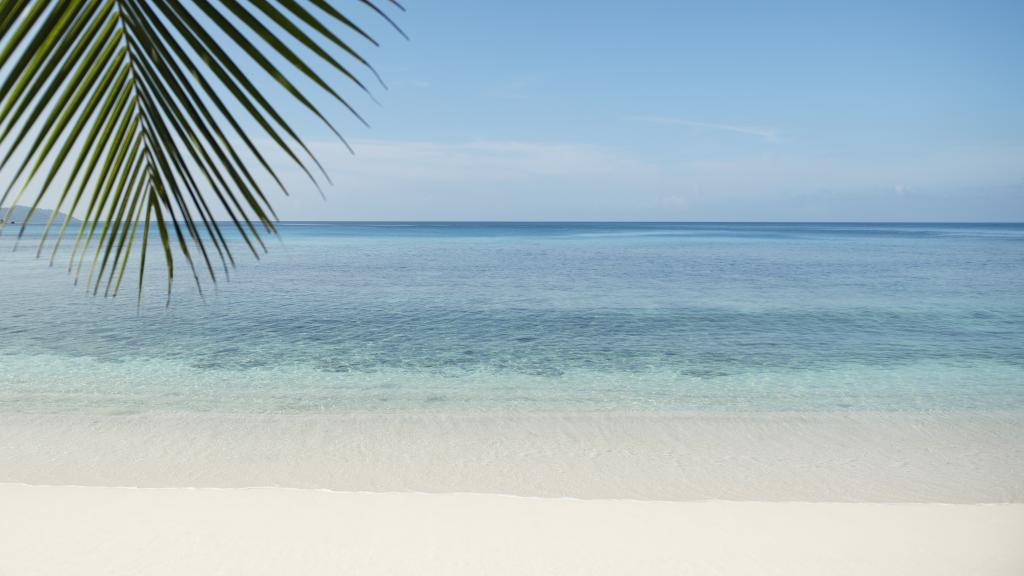 Photo 41: Avani+ Barbarons Seychelles - Mahé (Seychelles)