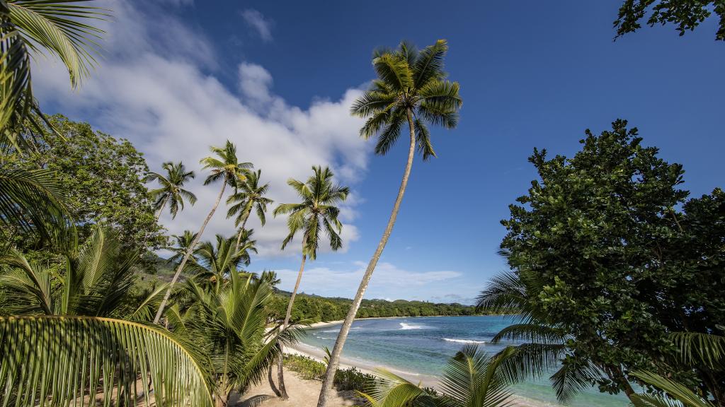 Photo 43: Avani+ Barbarons Seychelles - Mahé (Seychelles)