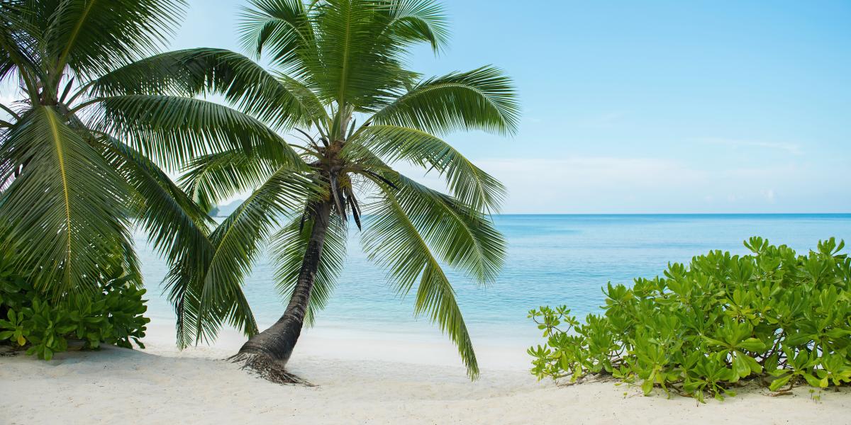 Avani+ Barbarons Seychelles