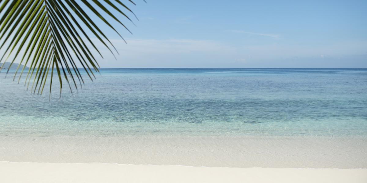 Avani+ Barbarons Seychelles