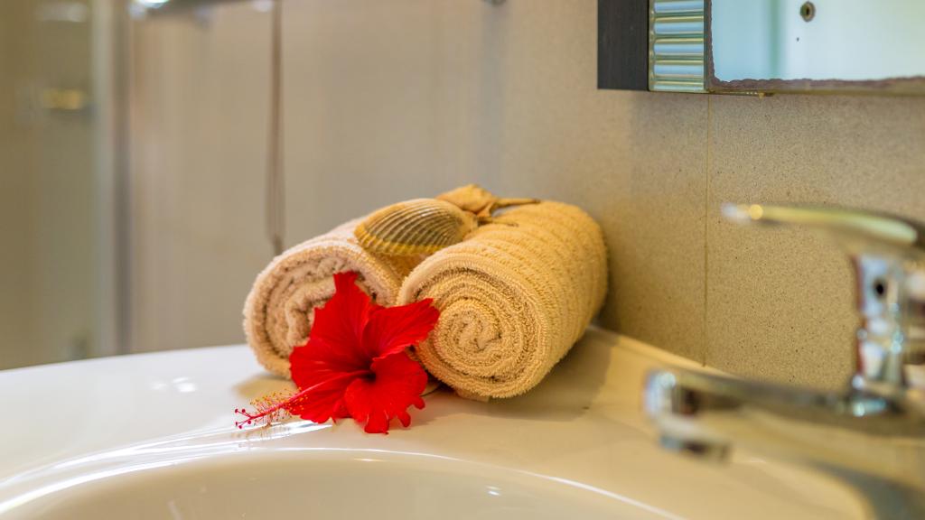 Foto 59: Bougainvillea - Mahé (Seychelles)