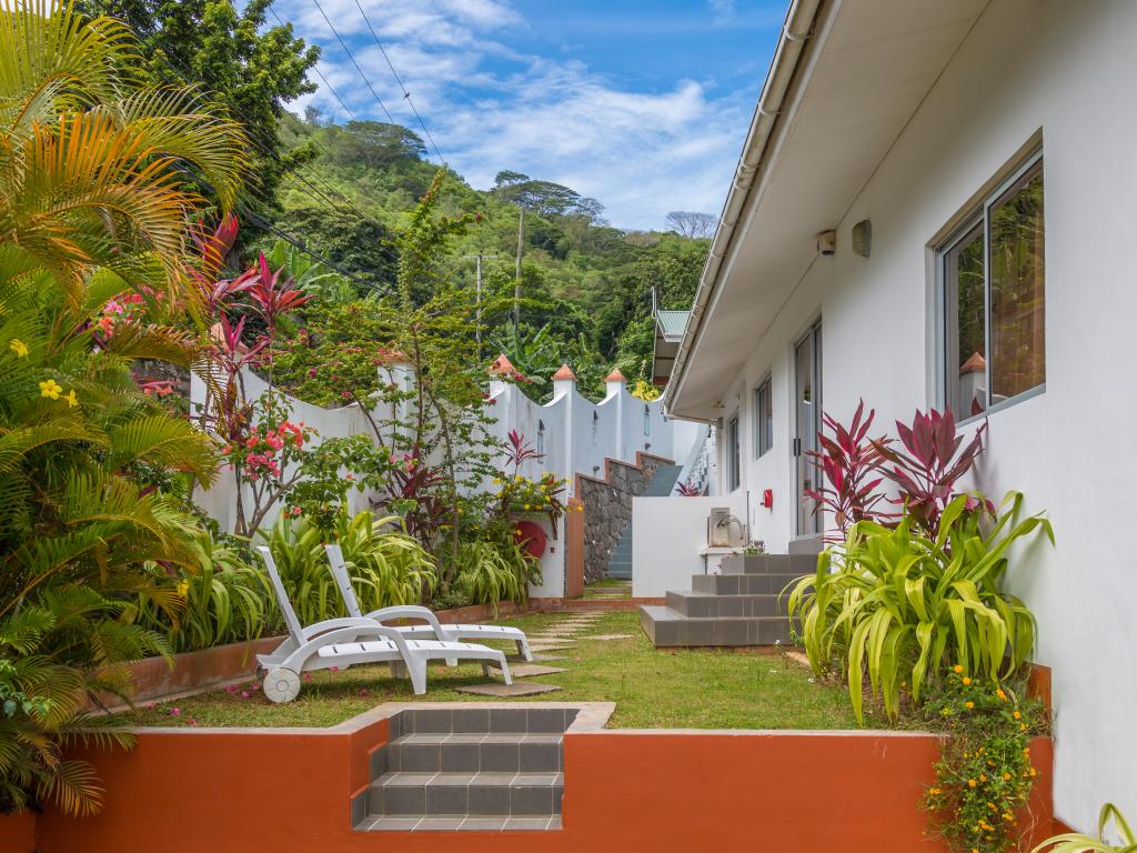 Bougainvillea - Photo 2