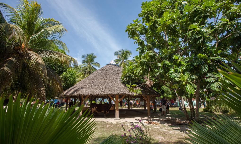 La Digue Island Lodge (L'Union Beach Villas)