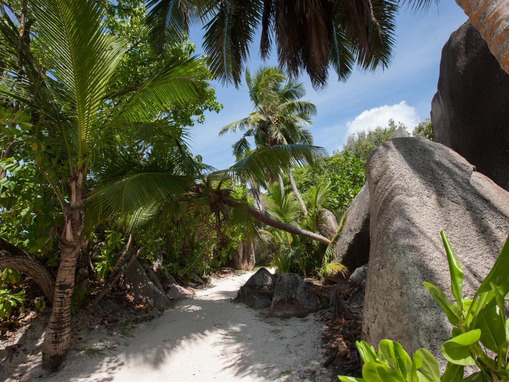 La Digue Island Lodge (L'Union Beach Villas) - Photo 7