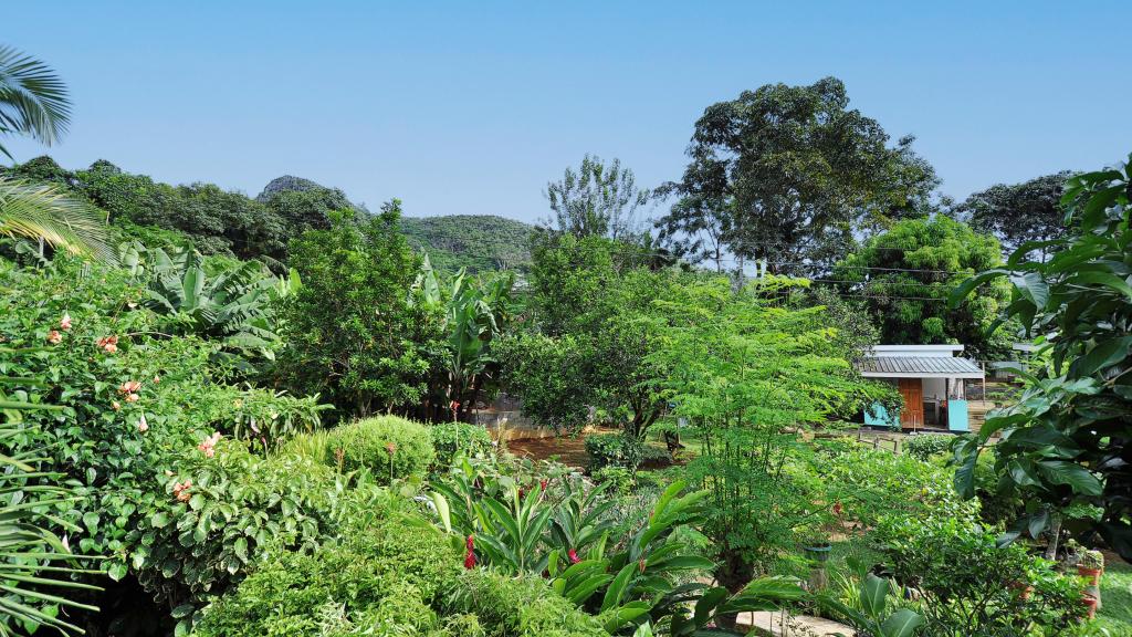 Foto 20: Evergreen Apartments - Mahé (Seychellen)