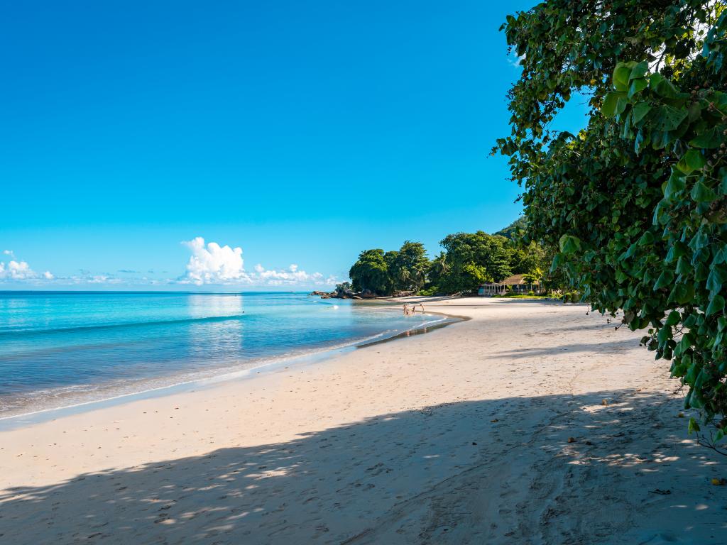 Romance Bungalows - Foto 2