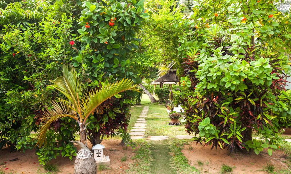 Le Relax Beach Resort