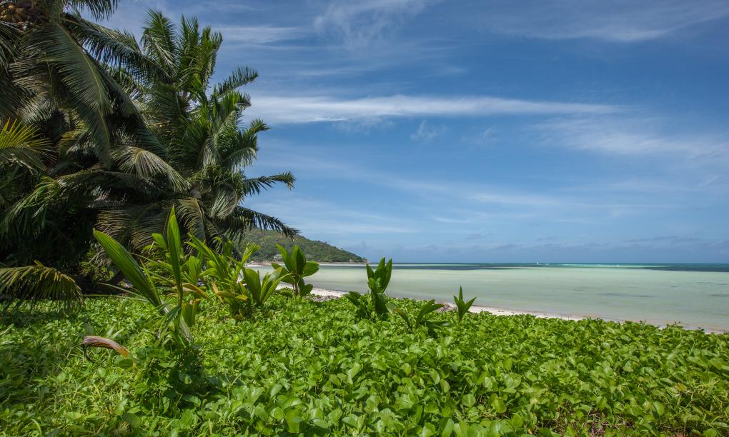 Le Relax Beach Resort