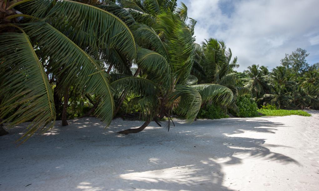 Le Relax Beach Resort