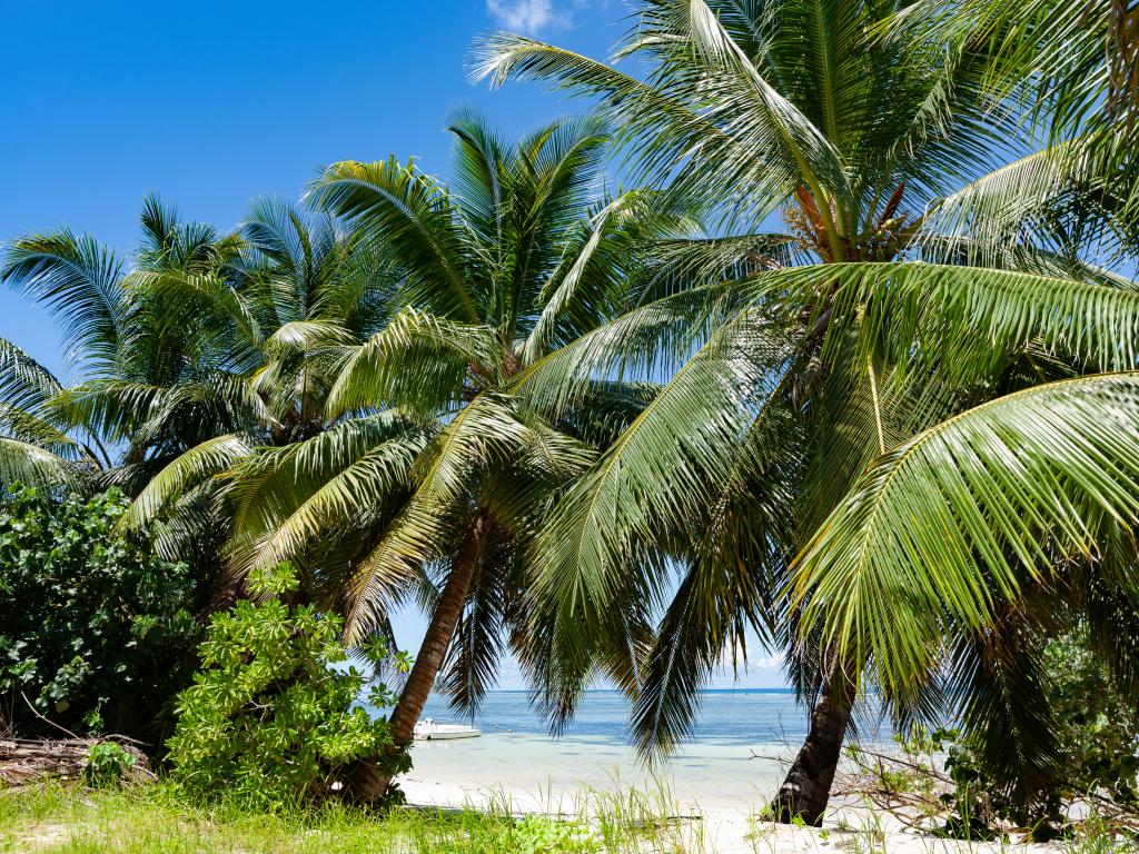 Cabanes des Anges - Photo 8