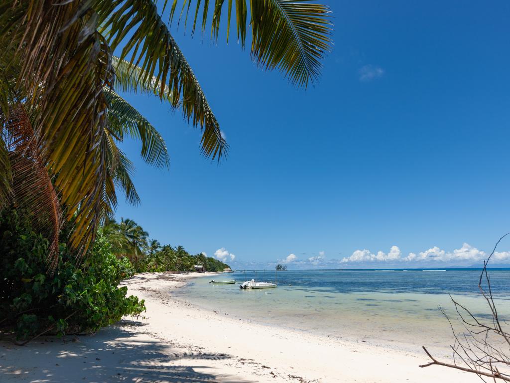 Cabanes des Anges - Photo 9