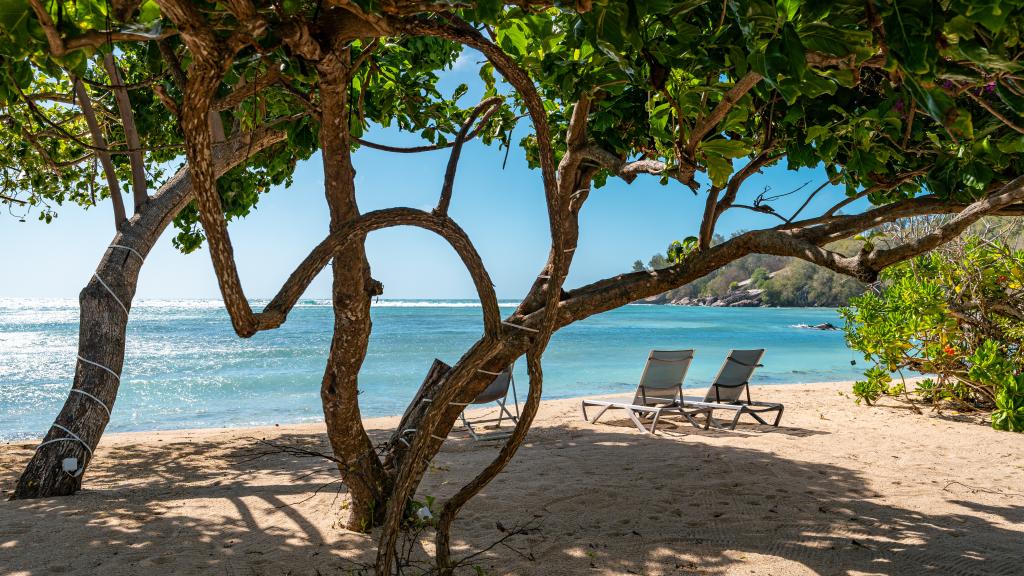 Foto 16: Crown Beach Hotel - Mahé (Seychellerna)