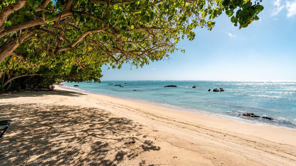 Foto 26: Crown Beach Hotel - Mahé (Seychellerna)