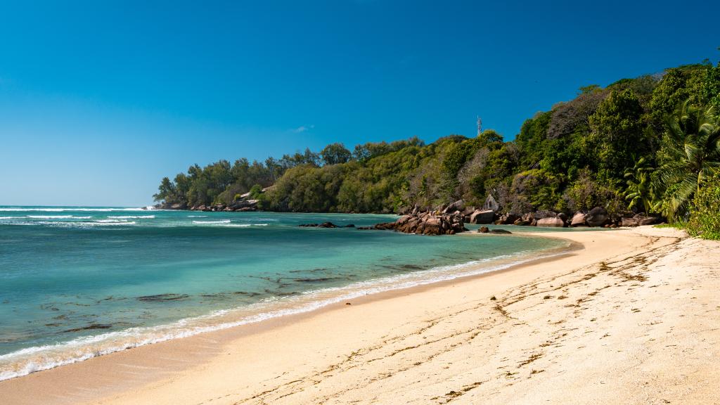 Foto 30: Crown Beach Hotel - Mahé (Seychellerna)