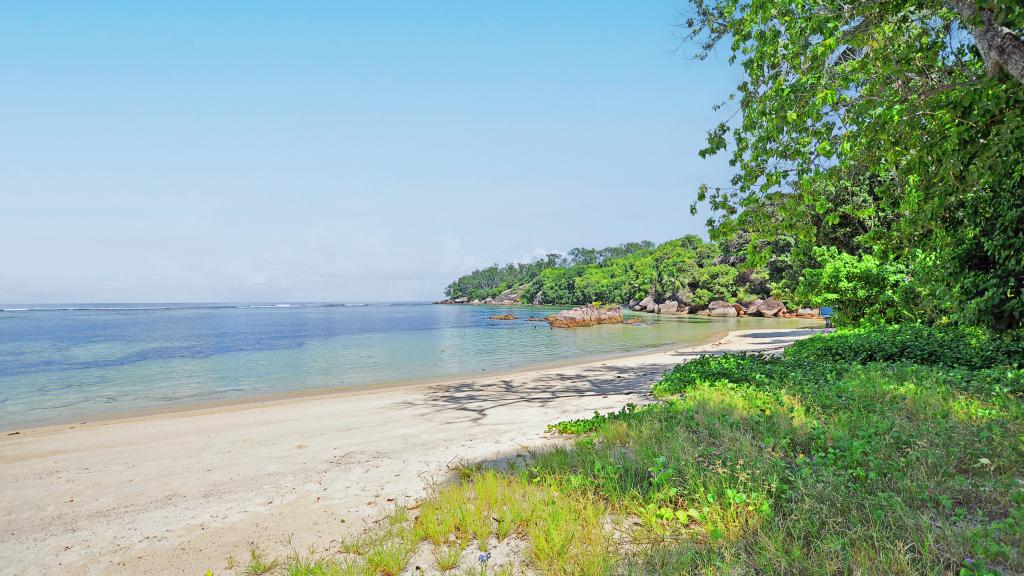 Photo 41: Crown Beach Hotel - Mahé (Seychelles)
