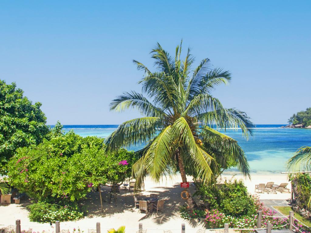 Crown Beach Hotel - Foto 8