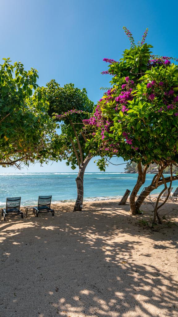 Foto 115: Crown Beach Hotel - Mahé (Seychellerna)