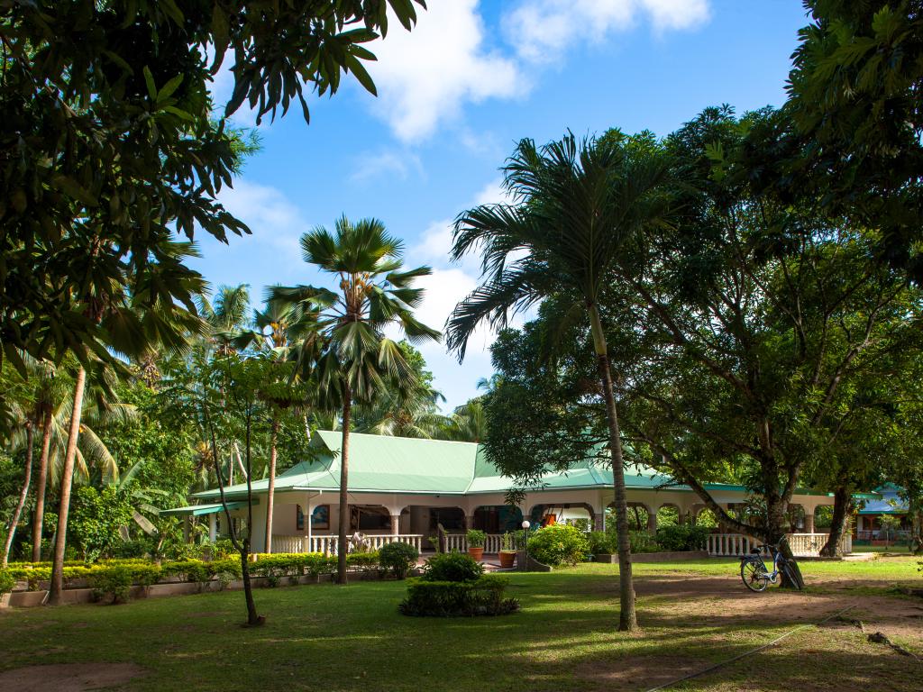 Chalet Bamboo Vert - Foto 2