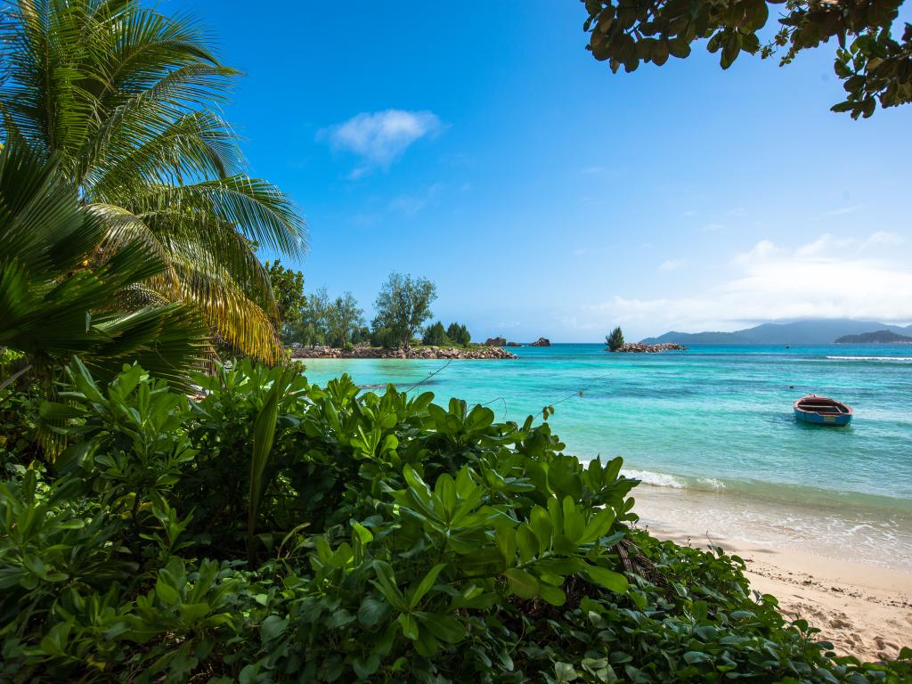 Chalet Bamboo Vert - Foto 9