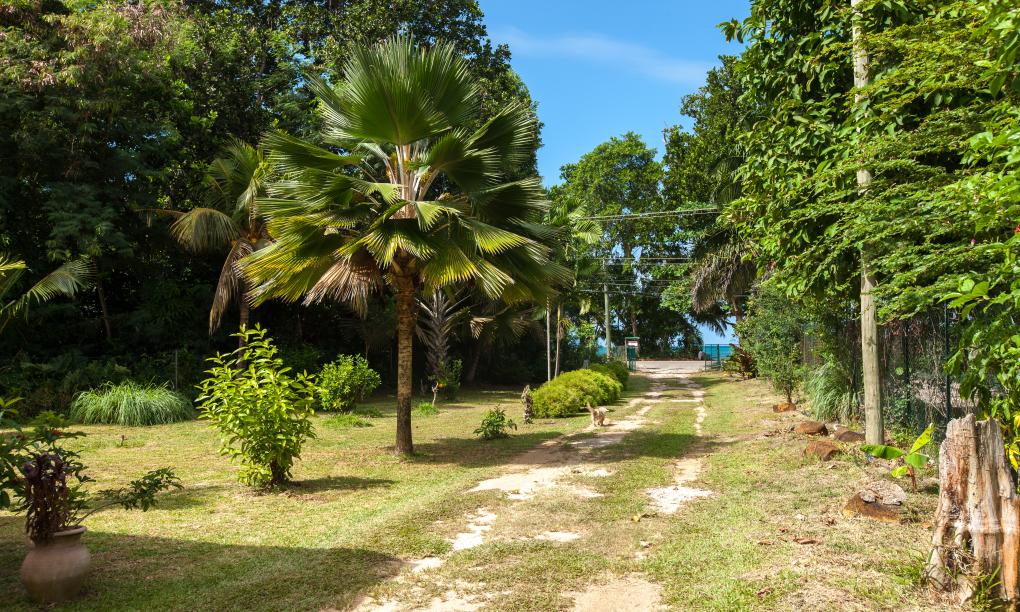 Villa Calice
