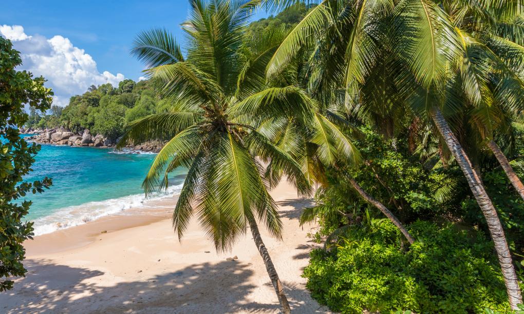 L'Ilot Beach Chalets