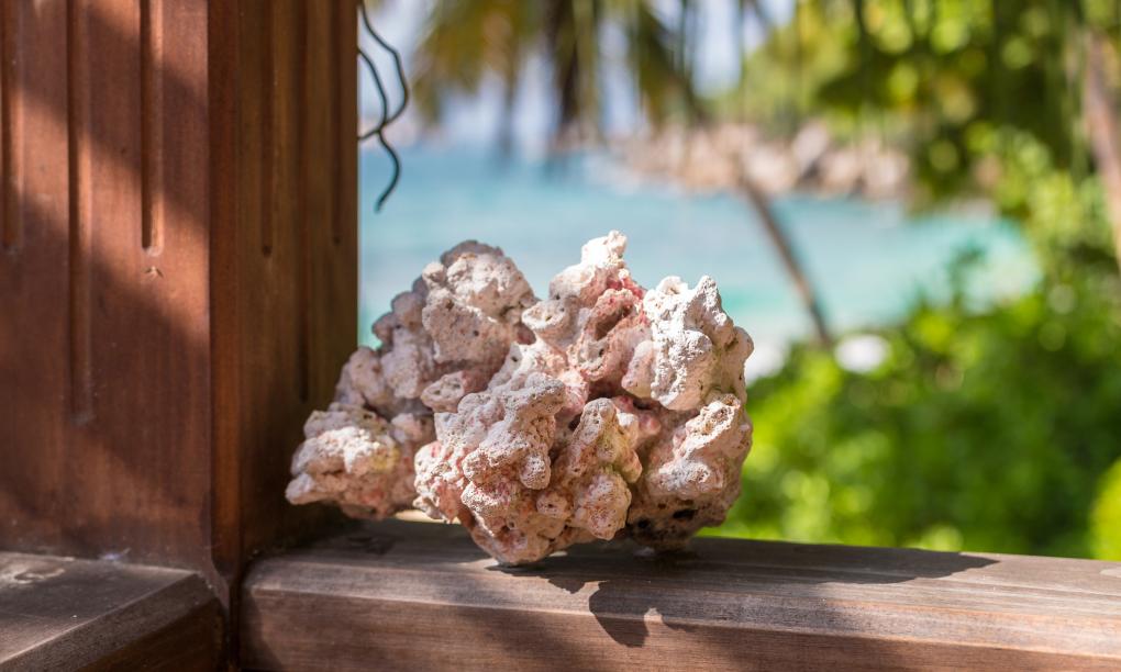 L'Ilot Beach Chalets - 2-Bedroom Suite Paradise