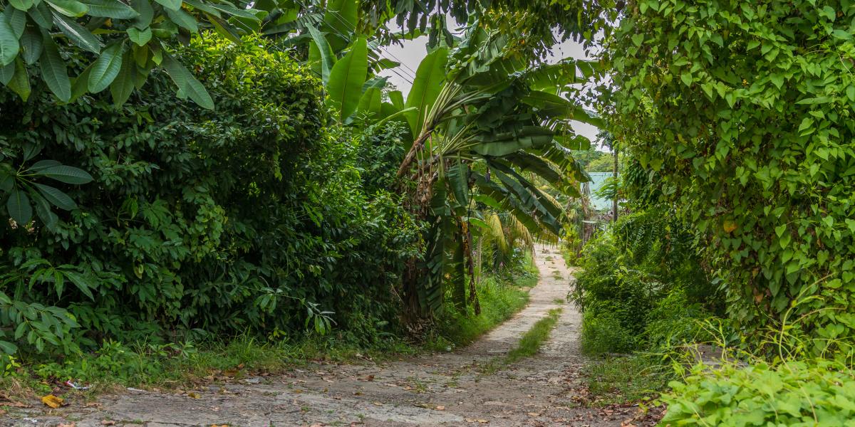 L'Ilot Beach Chalets