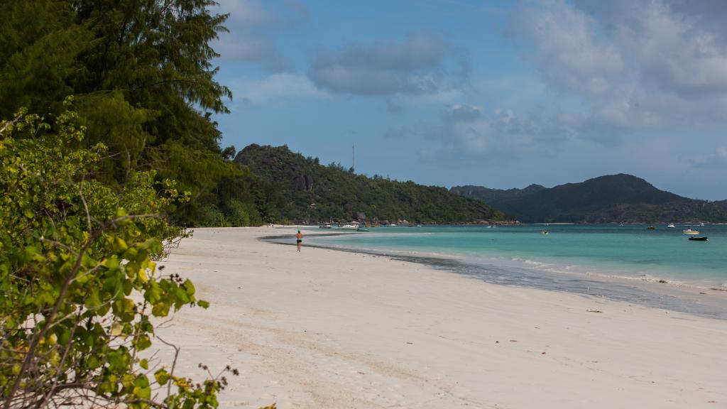 Photo 63: Heliconia Grove - Praslin (Seychelles)