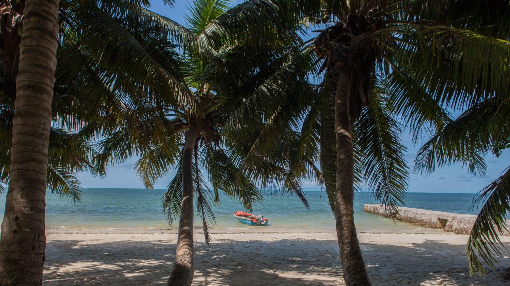 Photo 53: Villa Confort - Praslin (Seychelles)