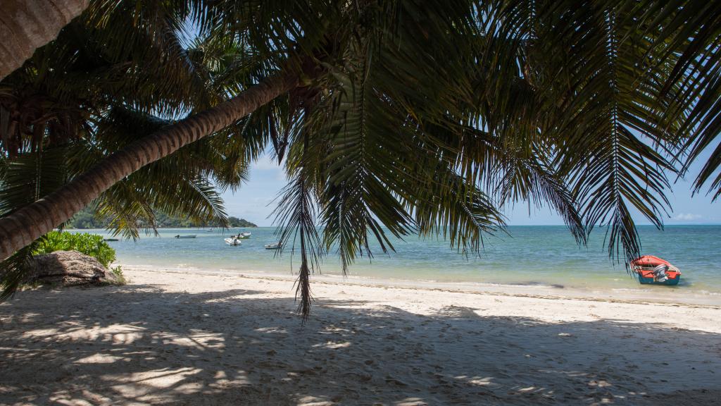 Photo 54: Villa Confort - Praslin (Seychelles)