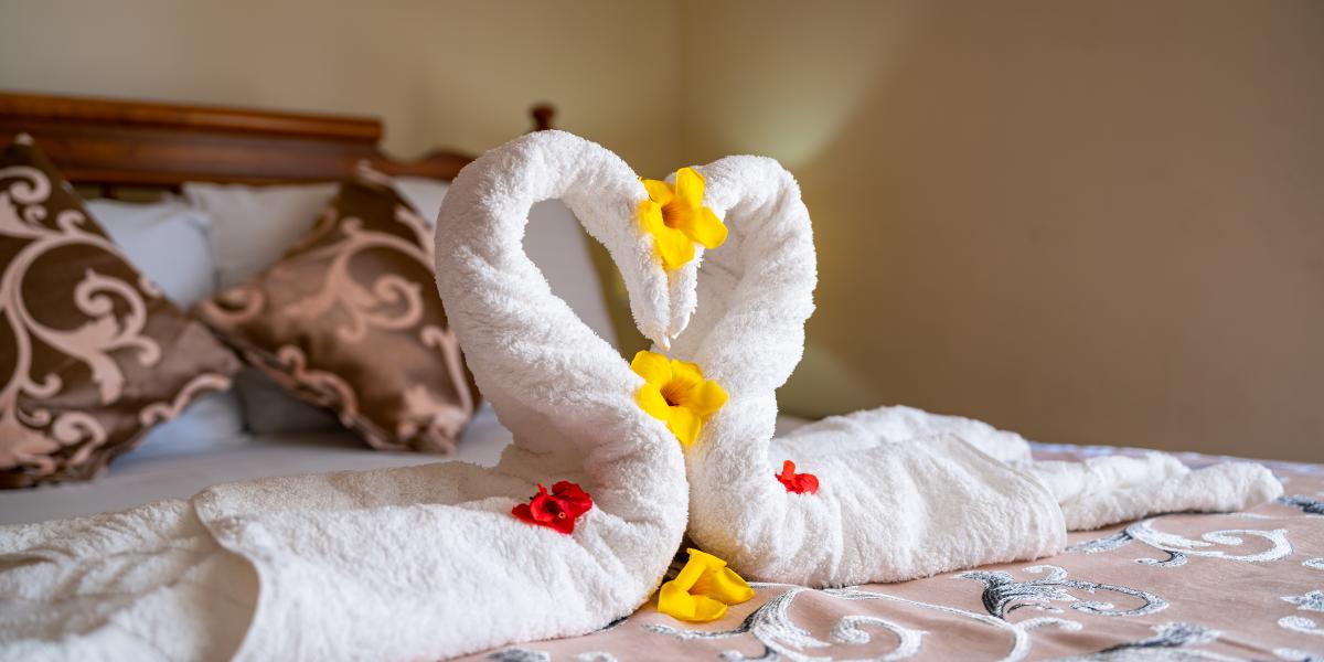 Carana Hilltop Villa - Standard Room