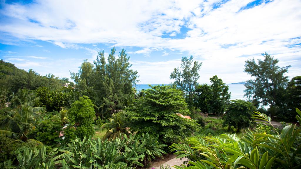 Foto 17: Summer Self Catering - Praslin (Seychellen)
