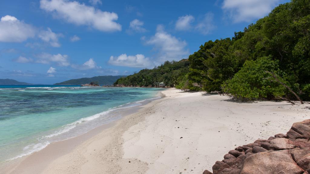 Foto 11: Summer Self Catering - Praslin (Seychelles)